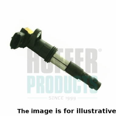 Ignition Coil (8010313/1)