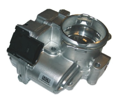 Throttle Body (7519056)