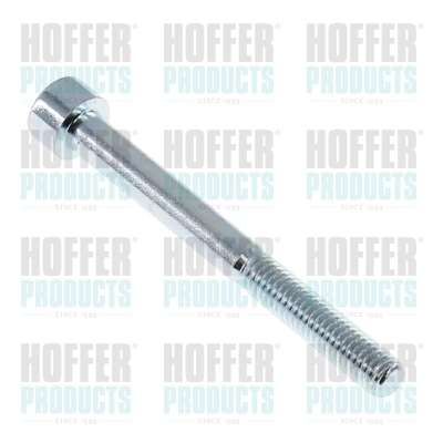 Repair Kit, common rail system (98793)