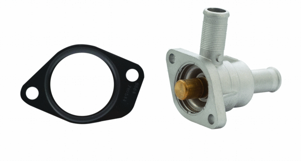Thermostat, coolant (8192234)
