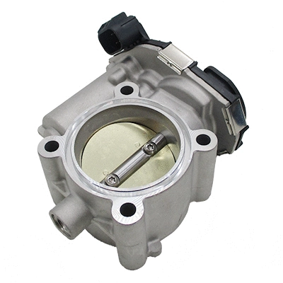 Throttle Body (7519556)
