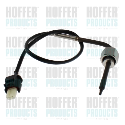 Sensor, exhaust gas temperature (7452656)