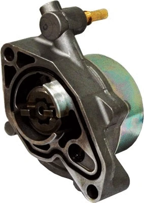 Vacuum Pump, braking system (8091144)