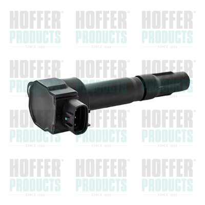 Ignition Coil (8010800)
