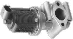 EGR Valve (7518015)