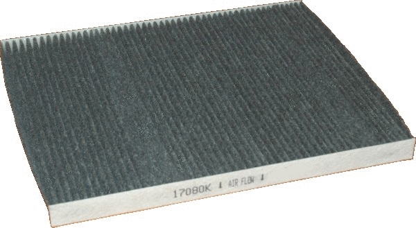 Filter, cabin air (17080K)