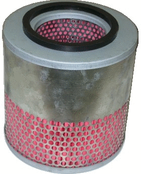 Air Filter (16176)