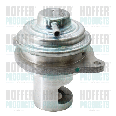 EGR Valve (7518327E)