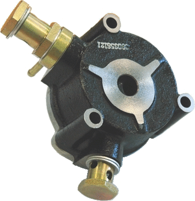 Vacuum Pump, braking system (8091090)