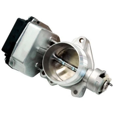 Throttle Body (7519146)