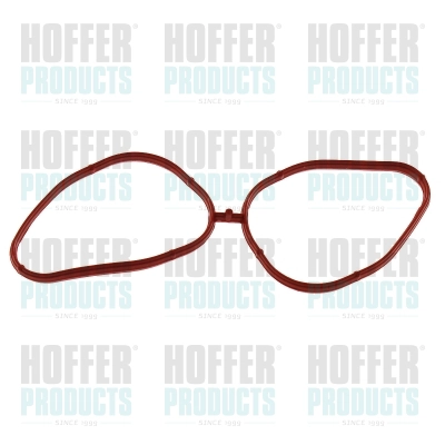 Gasket, intake manifold (016238)