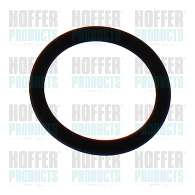 Rubber Ring (98806)