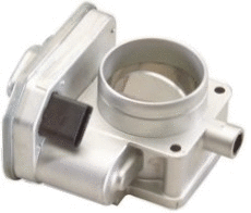 Throttle Body (7519038)