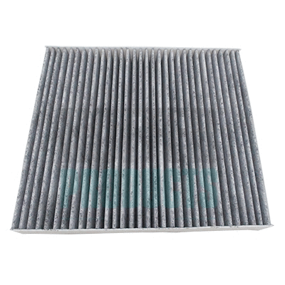 Filter, cabin air (17592)