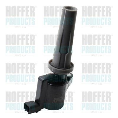 Ignition Coil (8010854)