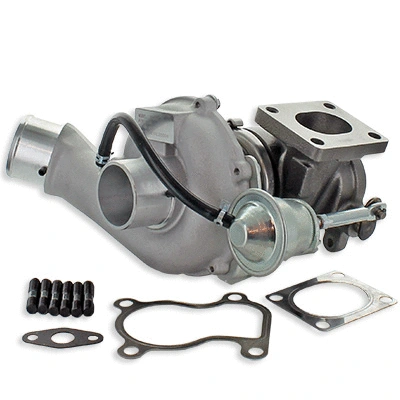 Charger, charging (supercharged/turbocharged) (6900055)