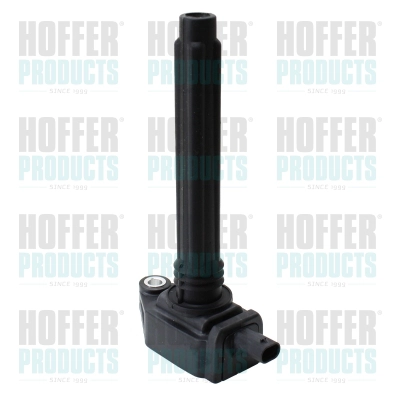 Ignition Coil (8010886)