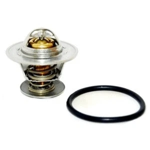 Thermostat, coolant (8192194)
