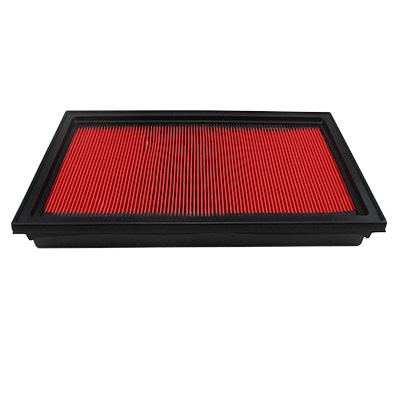 Air Filter (16065)