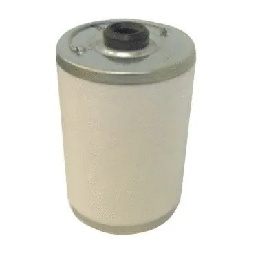 Fuel Filter (4232)