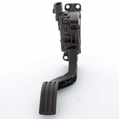 Accelerator Pedal Unit (7513557)