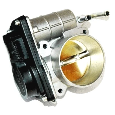 Throttle Body (7519172)