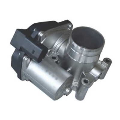 Throttle Body (7519051E)