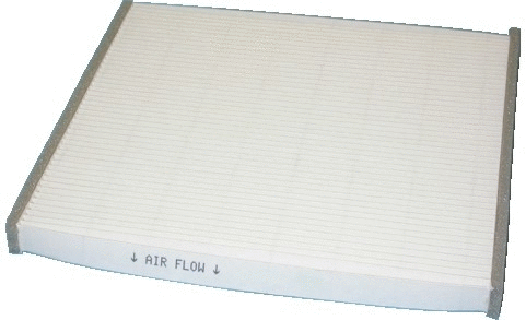 Filter, cabin air (17273)