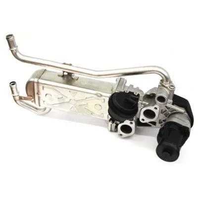 EGR Valve (7518260R)