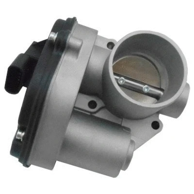 Throttle Body (7519194)