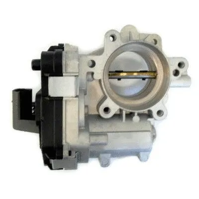 Throttle Body (7519084R)