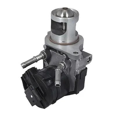 EGR Valve (7518254)