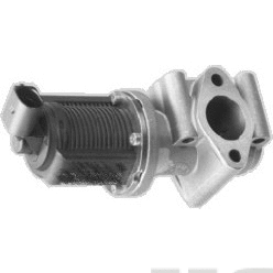 EGR Valve (7518015E)