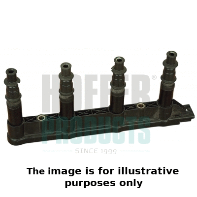 Ignition Coil (8010464E)