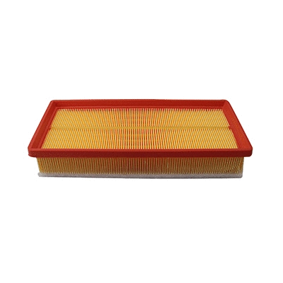 Air Filter (18300)