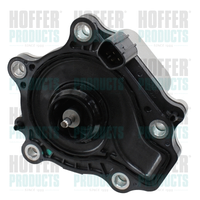Auxiliary Water Pump (cooling water circuit) (7500241)