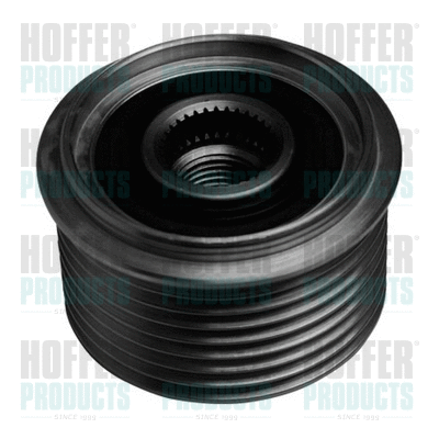 Alternator Freewheel Clutch (45103)