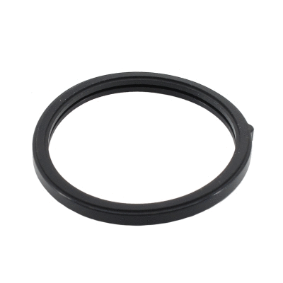 Seal, thermostat (01698)