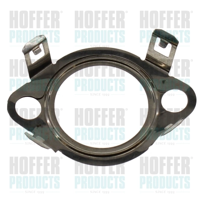 Gasket, EGR valve (016171)