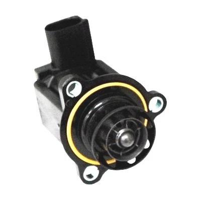 Recirculating Air Valve, charger (8029287)