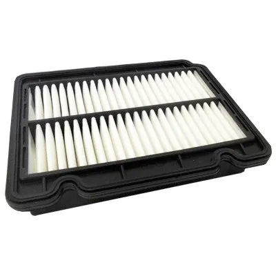 Air Filter (18151)