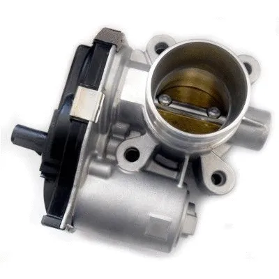 Throttle Body (7519280)