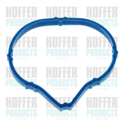 Gasket, intake manifold (016242)