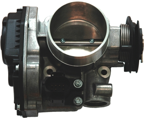 Throttle Body (7519002)
