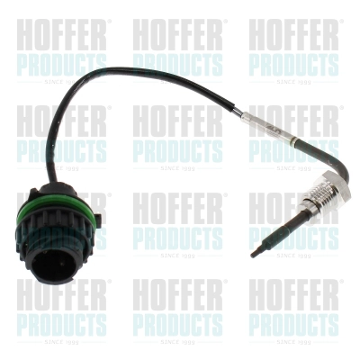 Sensor, exhaust gas temperature (7452726)