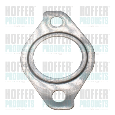 Gasket, EGR valve (016127)