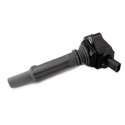 Ignition Coil (8010783)