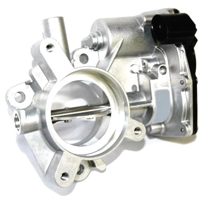 Throttle Body (7519164)