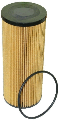 Oil Filter (14024)