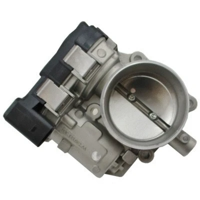 Throttle Body (7519359)